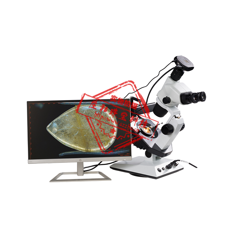 ����ʽ��Ӱ��ʯ��΢��